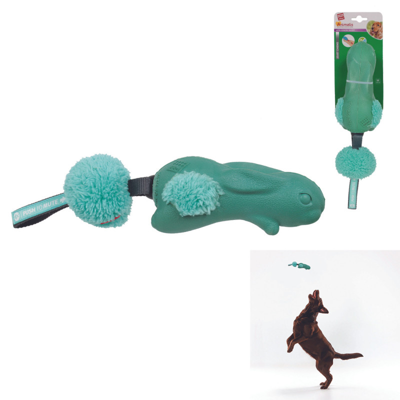 LAPIN SONORE